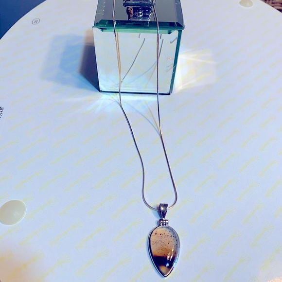 Sarah Richardson Sterling Teardrop Natural Polished Stone Pendant With Chain - Picture 1 of 10